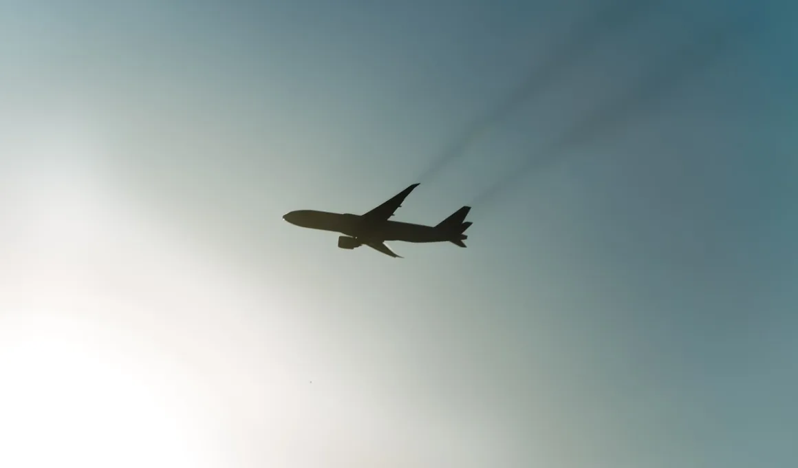 Plane in sky
