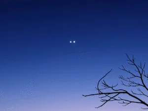 jupiter and venus saudi arabia 12 august 2025