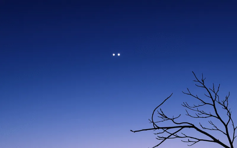 jupiter and venus saudi arabia 12 august 2025