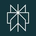 Perplexity Icon