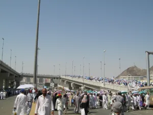 pilgrims walking