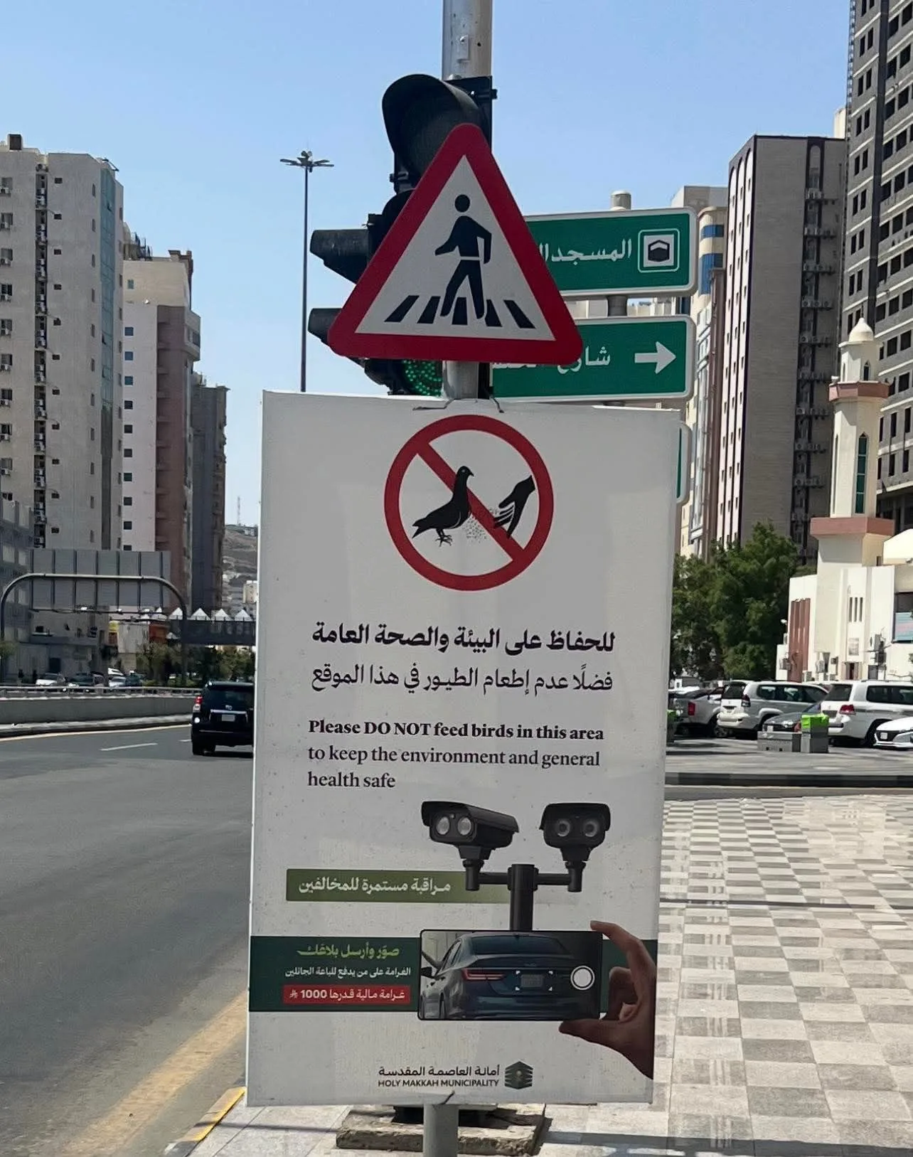 holy makkah feeding pigeons board