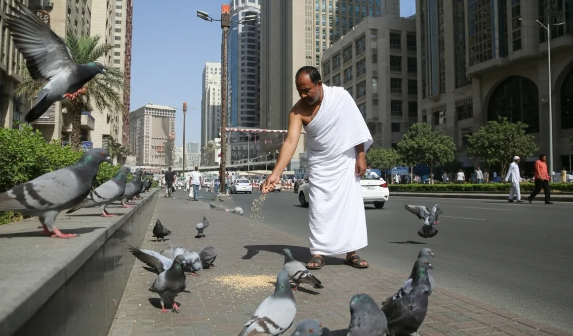 pilgrim in ihram feeding pigeons makkah