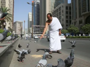 pilgrim in ihram feeding pigeons makkah