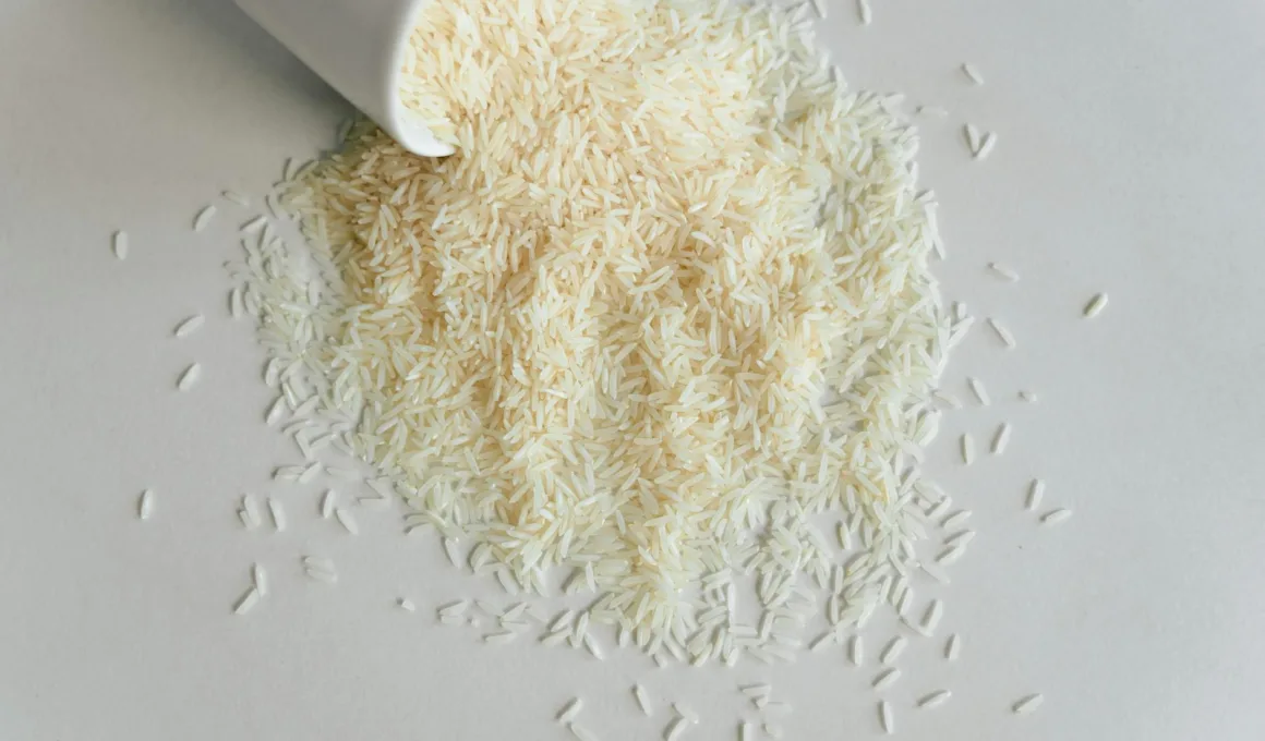 uncooked rice on white surface