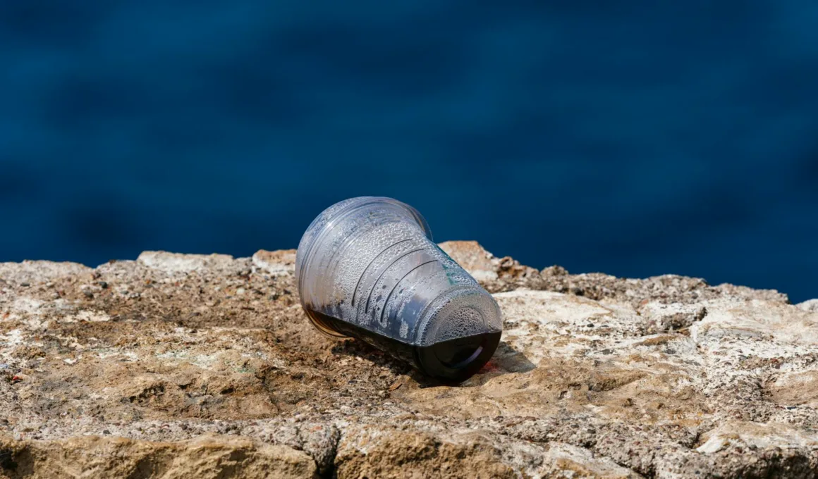 discarded plastic cup on rocky shoreline
