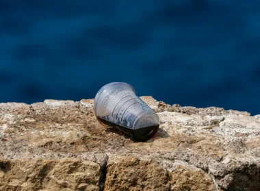 discarded plastic cup on rocky shoreline