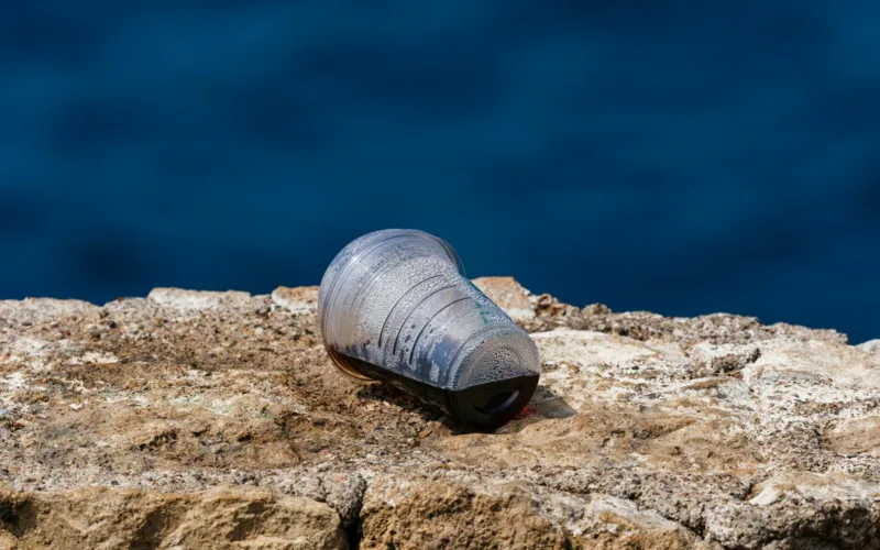 discarded plastic cup on rocky shoreline