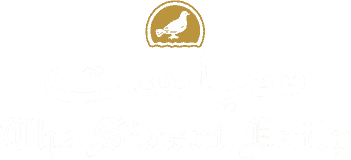 The Siasat Daily