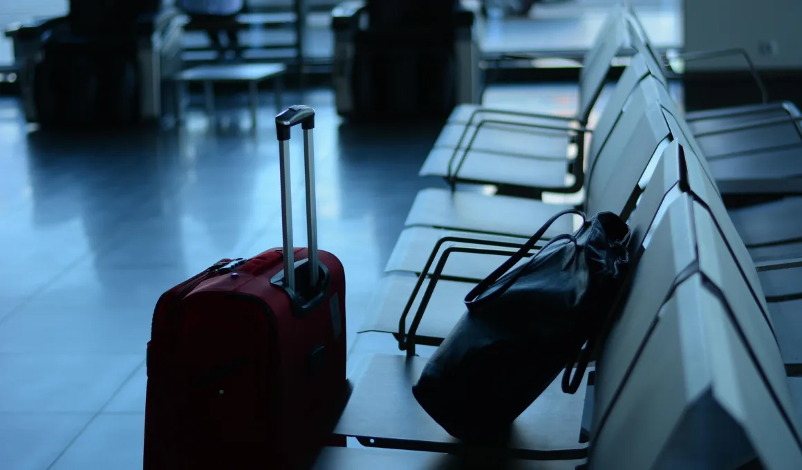 airport travel traveler business