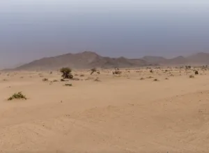 Wadi Al Mughammas