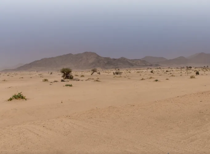 Wadi Al Mughammas